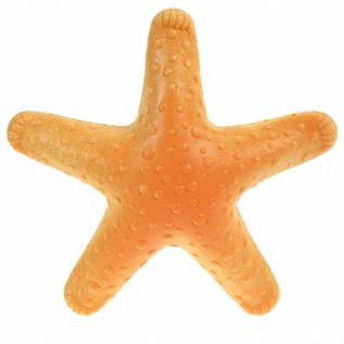 Plastic Starfish