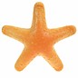 Plastic Starfish