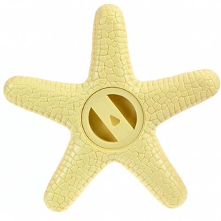 Plastic Starfish