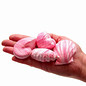 Shell Soap - Pink x3