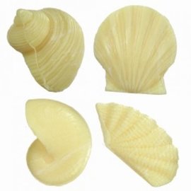 Shell Soap - Yellow  x3