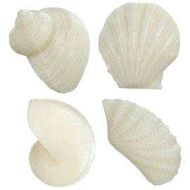 Shell Soap - White x3