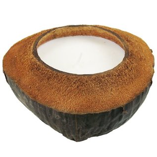 SEAURCO Short Cut Coconut Candle with Coconut Fragrance