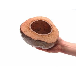 SEAURCO Short Cut Coconut Husk Halves