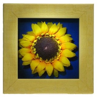 Sunflower Picture 6X6X1"