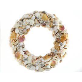 25cm Wreath with Shells