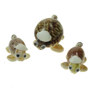 SEAURCO Turtle Family Craft Kit, Seashell shell Craft kit