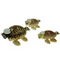 SEAURCO Turtle Family Craft Kit, Seashell shell Craft kit