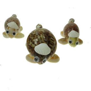 SEAURCO Turtle Family Craft Kit, Seashell shell Craft kit