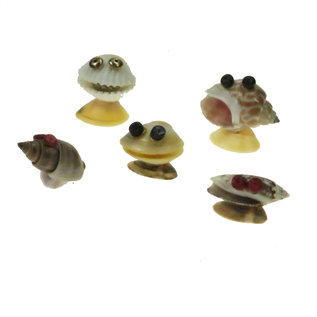 SEAURCO Monster Family Craft Kit, Seashell shell Craft kit