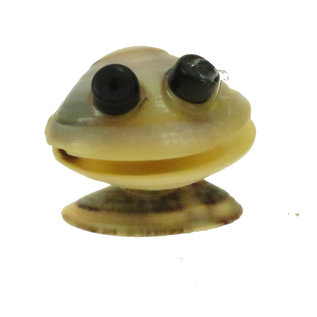 SEAURCO Monster Family Craft Kit, Seashell shell Craft kit