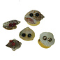 SEAURCO Monster Family Craft Kit, Seashell shell Craft kit