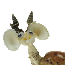 SEAURCO Reindeer Craft Kit, Seashell shell Craft kit