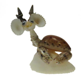 SEAURCO Reindeer Craft Kit, Seashell shell Craft kit