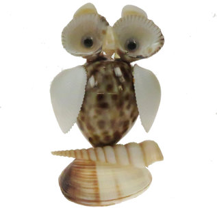 SEAURCO Owl Craft Kit, Seashell shell Craft kit