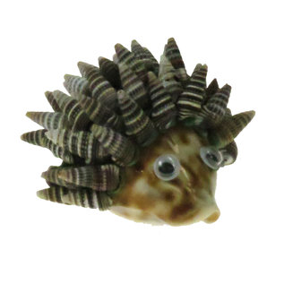 SEAURCO Hedgehog Craft Kit, Seashell shell Craft kit