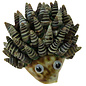 SEAURCO Hedgehog Craft Kit, Seashell shell Craft kit