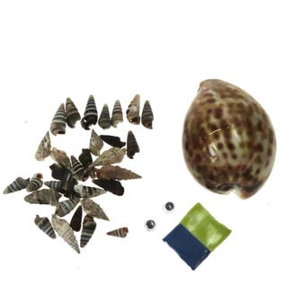 SEAURCO Hedgehog Craft Kit, Seashell shell Craft kit