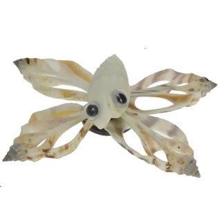 SEAURCO Butterfly Craft Kit, Seashell shell Craft kit