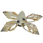 SEAURCO Butterfly Craft Kit, Seashell shell Craft kit