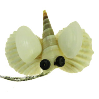 SEAURCO Firefly Craft Kit, Seashell shell Craft kit