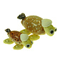 SEAURCO Turtle Family Craft Kit, Seashell shell Craft kit