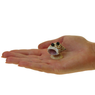 SEAURCO Monster Family Craft Kit, Seashell shell Craft kit