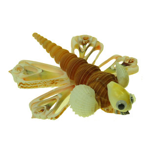 SEAURCO Dragonfly Craft Kit, Seashell shell Craft kit