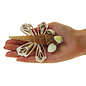 SEAURCO Dragonfly Craft Kit, Seashell shell Craft kit