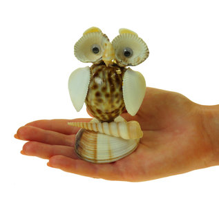 SEAURCO Owl Craft Kit, Seashell shell Craft kit