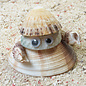 SEAURCO Crab Craft Kit, Seashell shell Craft kit