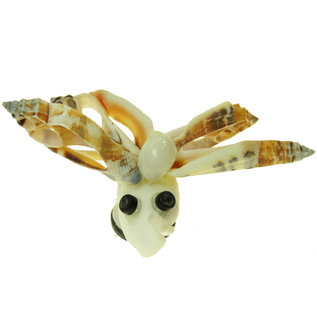 SEAURCO Butterfly Craft Kit, Seashell shell Craft kit