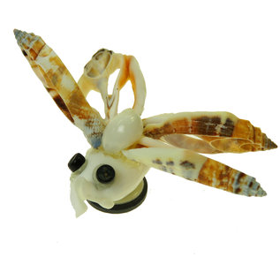 SEAURCO Butterfly Craft Kit, Seashell shell Craft kit