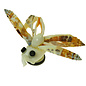 SEAURCO Butterfly Craft Kit, Seashell shell Craft kit