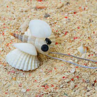 SEAURCO Firefly Craft Kit, Seashell shell Craft kit