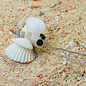 SEAURCO Firefly Craft Kit, Seashell shell Craft kit