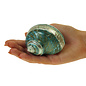 SEAURCO Polished Jade Turbo with Mother of Pearl Stripe 6cm