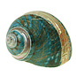 SEAURCO Polished Jade Turbo with Mother of Pearl Stripe 6cm