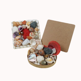 SEAURCO Assorted Seashell Plaque 10cm x 10cm