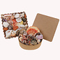 SEAURCO Assorted Seashell Plaque 10cm x 10cm