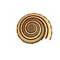 SEAURCO Sundials 4cm