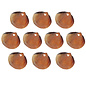 SEAURCO Assorted Brown Dog Cockles - drilled x 10