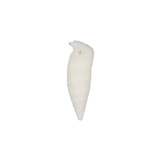 SEAURCO Small White Cerith (Vertigus) - drilled x 10
