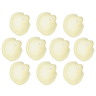 SEAURCO Assorted Whiterose Cockles - drilled x 10