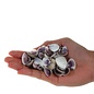 SEAURCO Purple Clams - drilled x 10