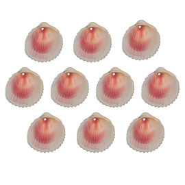 SEAURCO Coloured Cockles - drilled x10