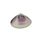 SEAURCO Purple Clams - drilled x 10