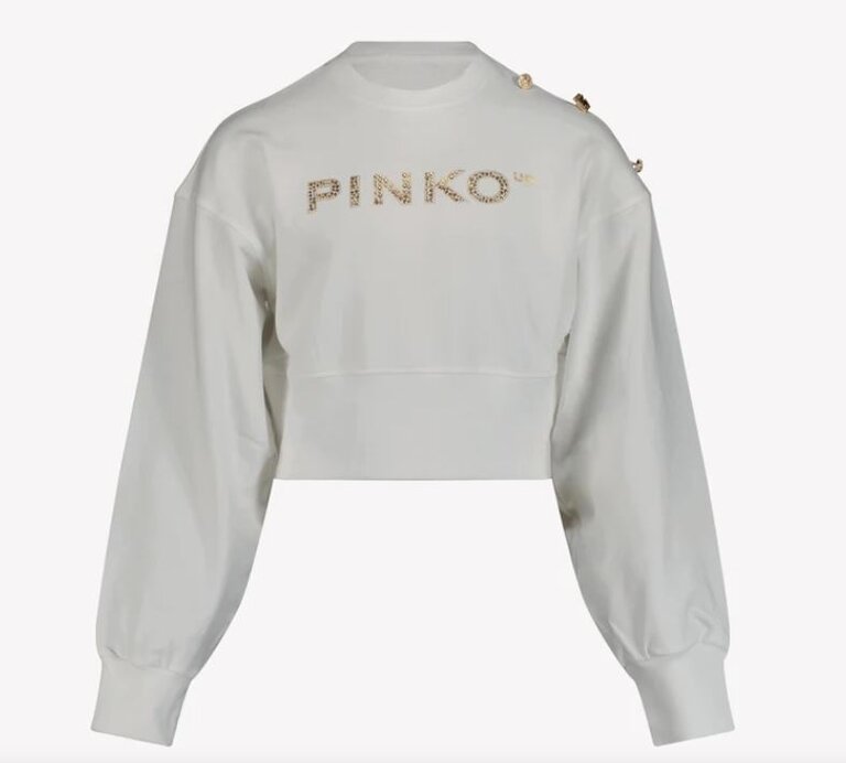 Pinko S4PIJGSW198 Fleece sweat