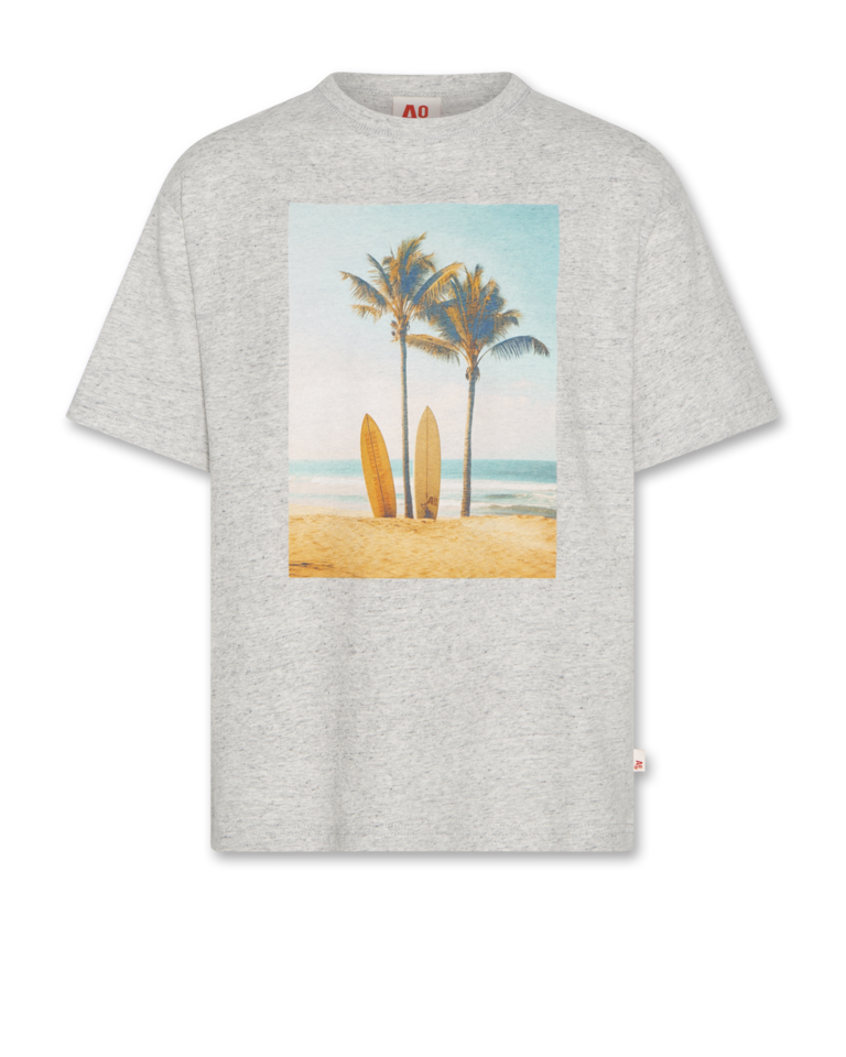 Ao76 125-2003-107 silas t-shirt beach 985 heather grey