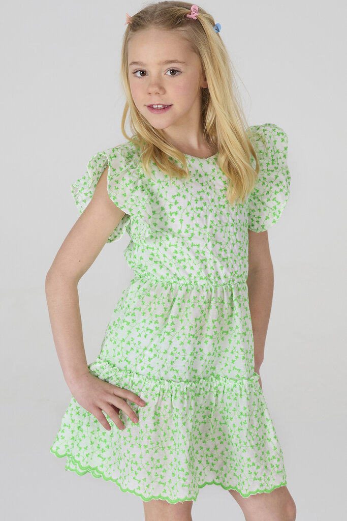 Blue Bay Dress Daimy White/green